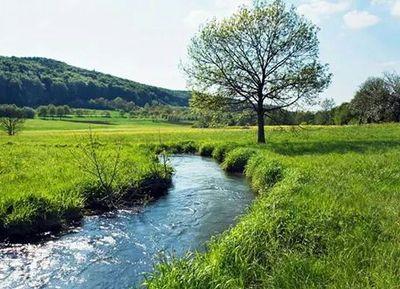 haridwi1956's profile picture. 