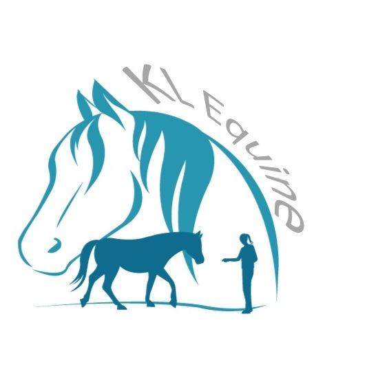 Horse Training, Riding Lessons, Horsemanship Lessons and Camps! Located out of Knight Stables