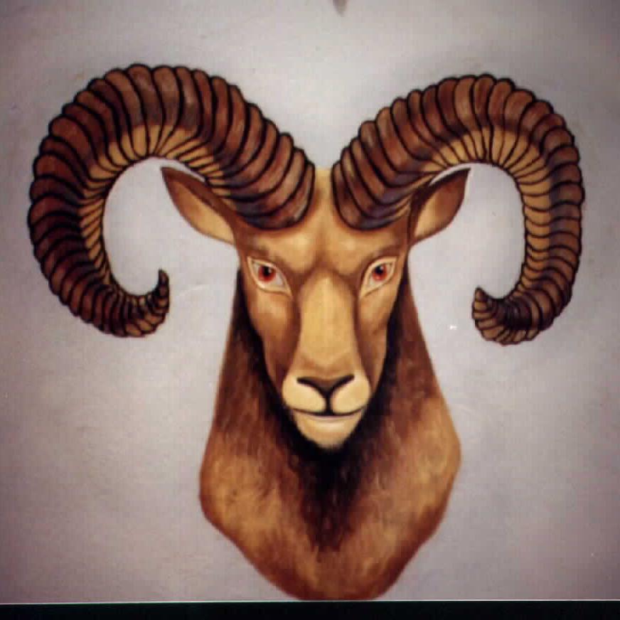 Aries are hungry for success. They want to be good at sports, studies and almost everything they get involved in.