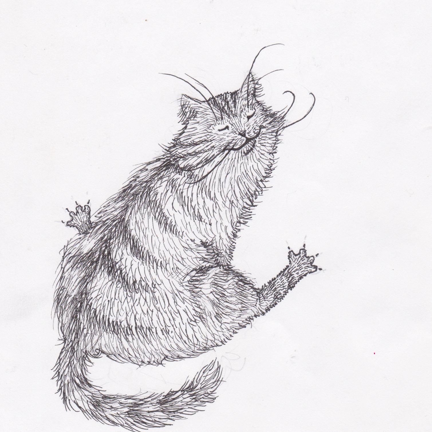 Caroline Devereaux : art, illustration & creative services in Baltimore.