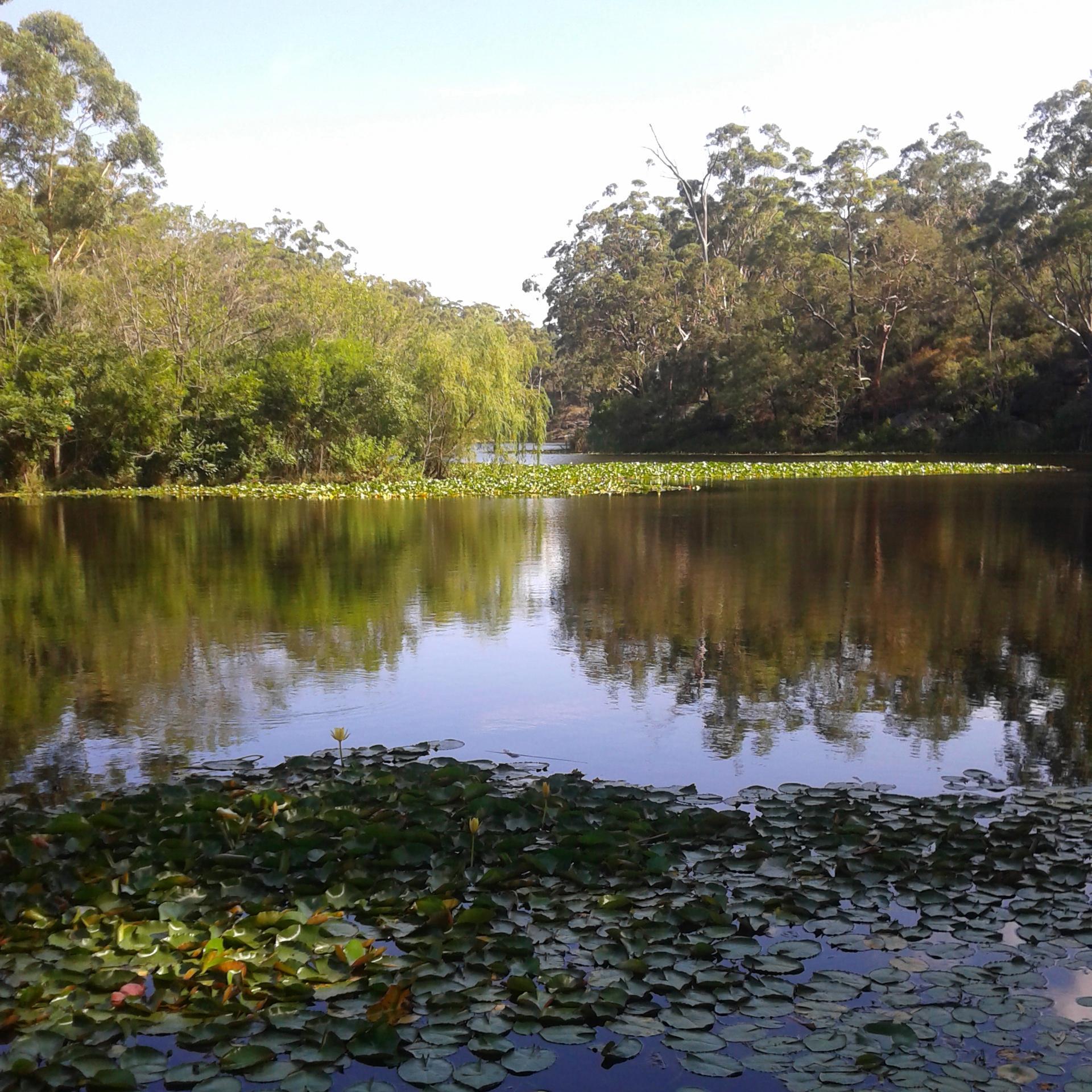 Standing up for clean, safe, public drinking water in Sydney. Walking from Cataract Dam - Hyde Park via NSW Parliament, 21-28 Feb 2015 http://t.co/W6SUTdxNQO