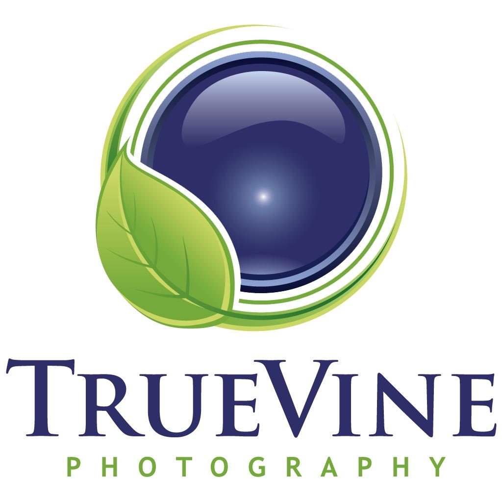 With their artistic viewpoint & attention to detail TrueVine Photography has become one of the Delaware Valley's top commercial/real estate photographers.