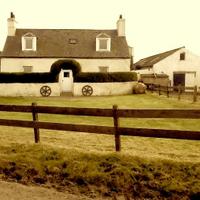 Wee Isle Dairy (@weeisledairy) 's Twitter Profile