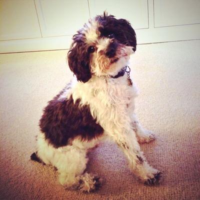 jackgodfrey74's profile picture. snap: jgodfrey21
insta: jgodfrey_21