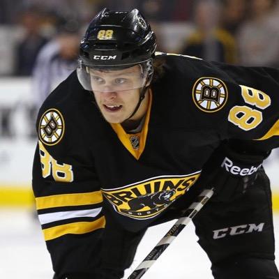 Die Hard Bruins Fan.