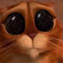 Bill chung - @billchung920 - Twitter