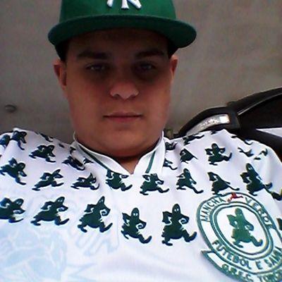 Filho do Marcos e da Rita, irmão da Isabela, Tudo isso sem contar que sou um Palmeirense doente e um apaixonado por UFC.