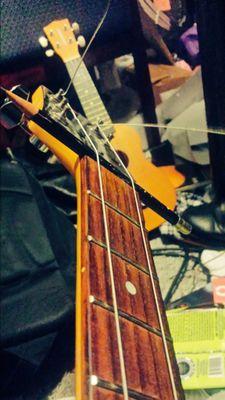 WeaselWaits's profile picture. [2nd account] I'm a dude from Lafayette, Indiana; raised in a trailer park; I'm diabetic; I play a few instruments; I jam to all music.