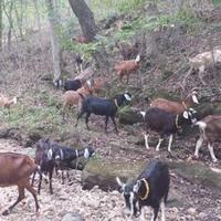 Lesley (@lesley92078823) 's Twitter Profile