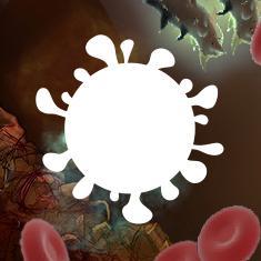 A mobile game for good. Donating to ebola relief organizations, while having a blast. #ebolaAttack for #iOS #Android