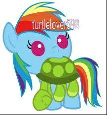 turtlelover598's profile picture. I'm a Youtuber, pegasister, and animal lover