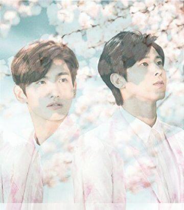 東方神起大好き( ¨̮ )ユノとチャンミンが生活の一部です☆