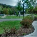 Rodney Thorne - @Newfieman78 - Twitter