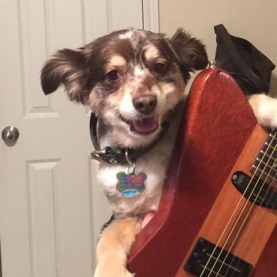 love life,treats,music,and movies
