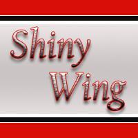 shinywing (@shinywingcork) 's Twitter Profile