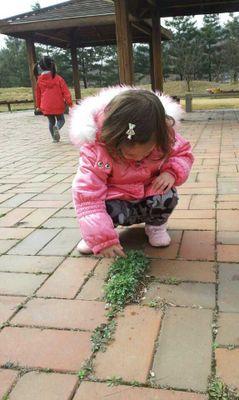 msnataliek's profile picture. Early Years Educator at Chadwick International School