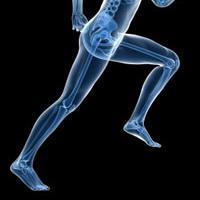 RunningForefoot's profile picture. Senior Kinesiology Major @ Cal Poly
National Academy of Sports Medicine Certified Personal Trainer
Health and Fitness Enthusiast
Athlete