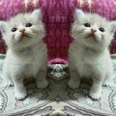 u still in my heart