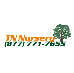 TN Wholesale Nursery Profile
