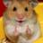 AusStdsParty's profile image