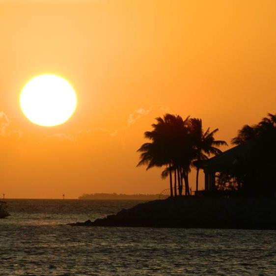 craptasticmah's profile picture. Parenting, Humor, Addiction, Survivor of Much,  Seeking Positive Change and Inner Peace.  Imagine Whirled Peas.