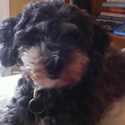 hfesaw's profile picture. 