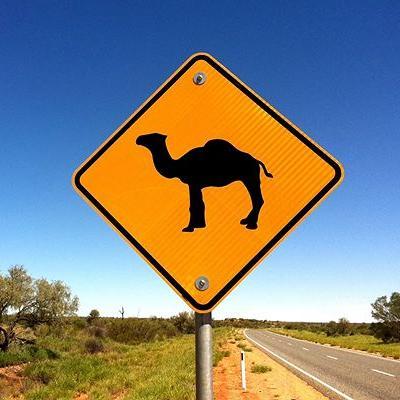 AllenaParker595's profile picture. Intel Analyst - covering security risks and developments in Africa. #UGA Alum. Crisis management+conflict forecasting. Opinions my own, dialogue welcome.