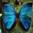 flor_1024's profile image