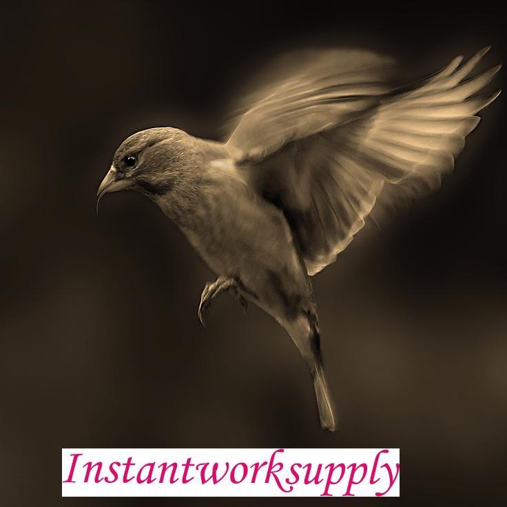 quickwork_5's profile picture. 