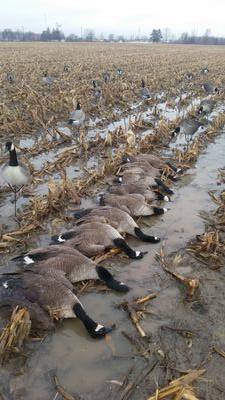 zBryce_Lib3rtyz's profile picture. 