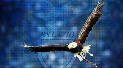 per sempre insieme 🦅🩵