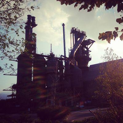 Li4Leo's profile picture. 