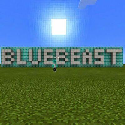 MINECRAFT IS LIFE!