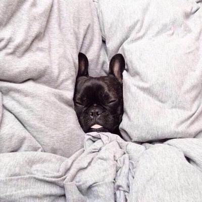 Oscar_Abraham's profile picture. Por sí me sigues stalkeando...