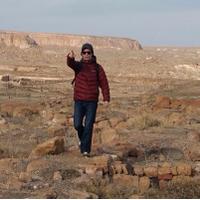 David (@davidm782) 's Twitter Profile