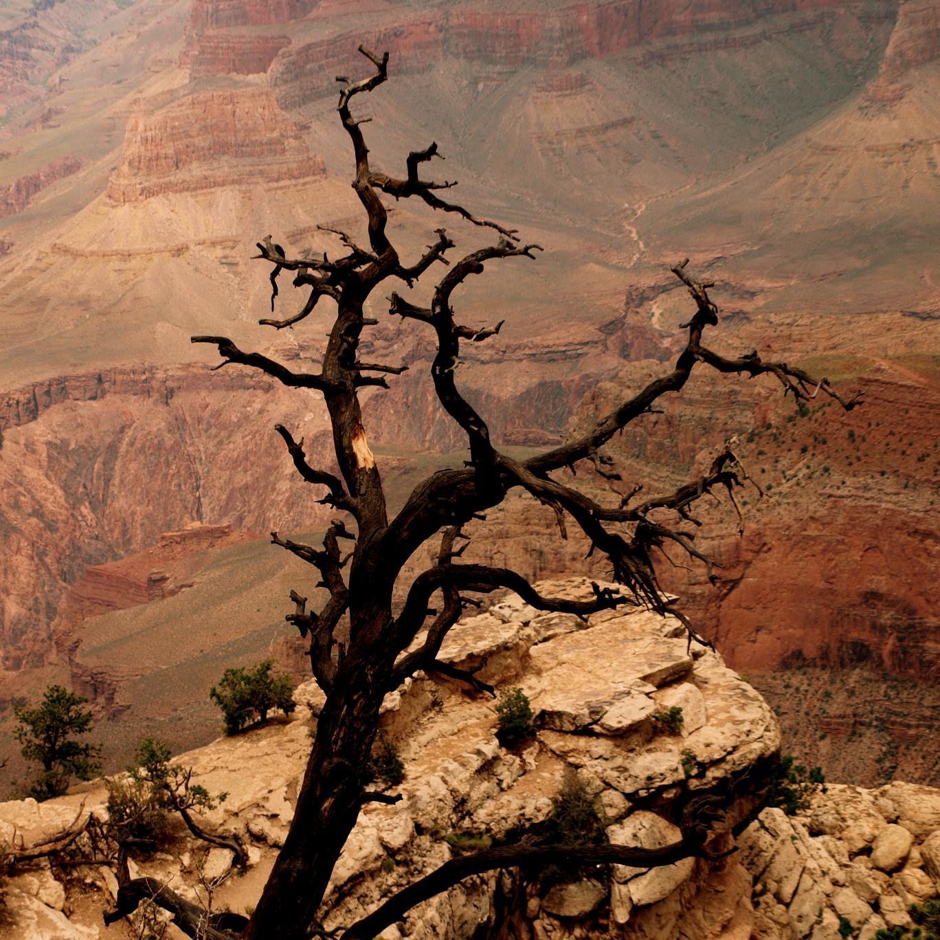 jtsehres's profile picture. 