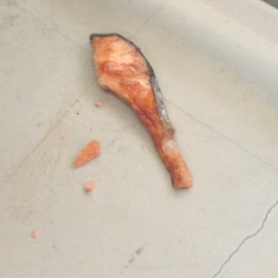 落ちた鮭は食べてはいけない。