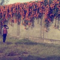 Kala Raju (@kala_raju) 's Twitter Profile