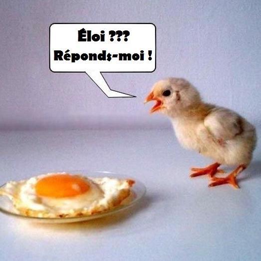 BelepLesPoules's profile picture. Le marxisme ne se ramène pas à une stupidité de plus, (...) il constitue la plus grande imposture de l'histoire du système planétaire. Gustave Corção