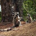 Kaitlyn Daniel - @kaitlynfoo - Twitter