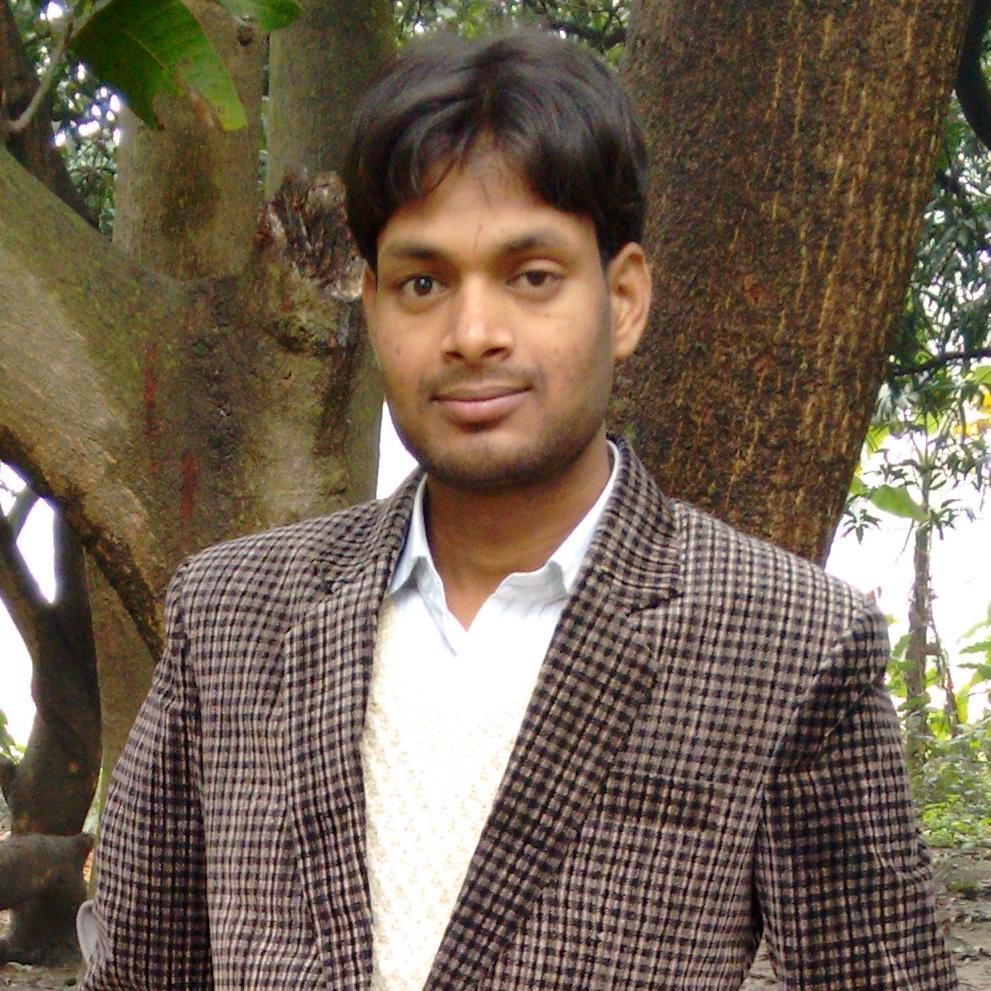 Software Developer