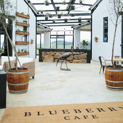 blueberry cafe 1blueberrycafe X