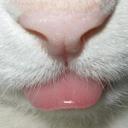 Andreea Sandu - @ducksallover - Twitter