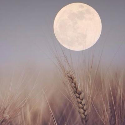 lool260's profile picture. 