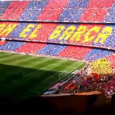 501Haadi's profile picture. 