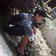 GuptaIlana's profile picture. 