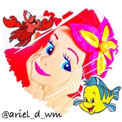 D垢 ☆ 98ねん / Ariel / Princess / Prince / 共通 / 海派 / ショーパレグリ / 週1イン / 舞浜まで2時間 / 一眼勉強中 / キレイで素敵な写真を撮りたい