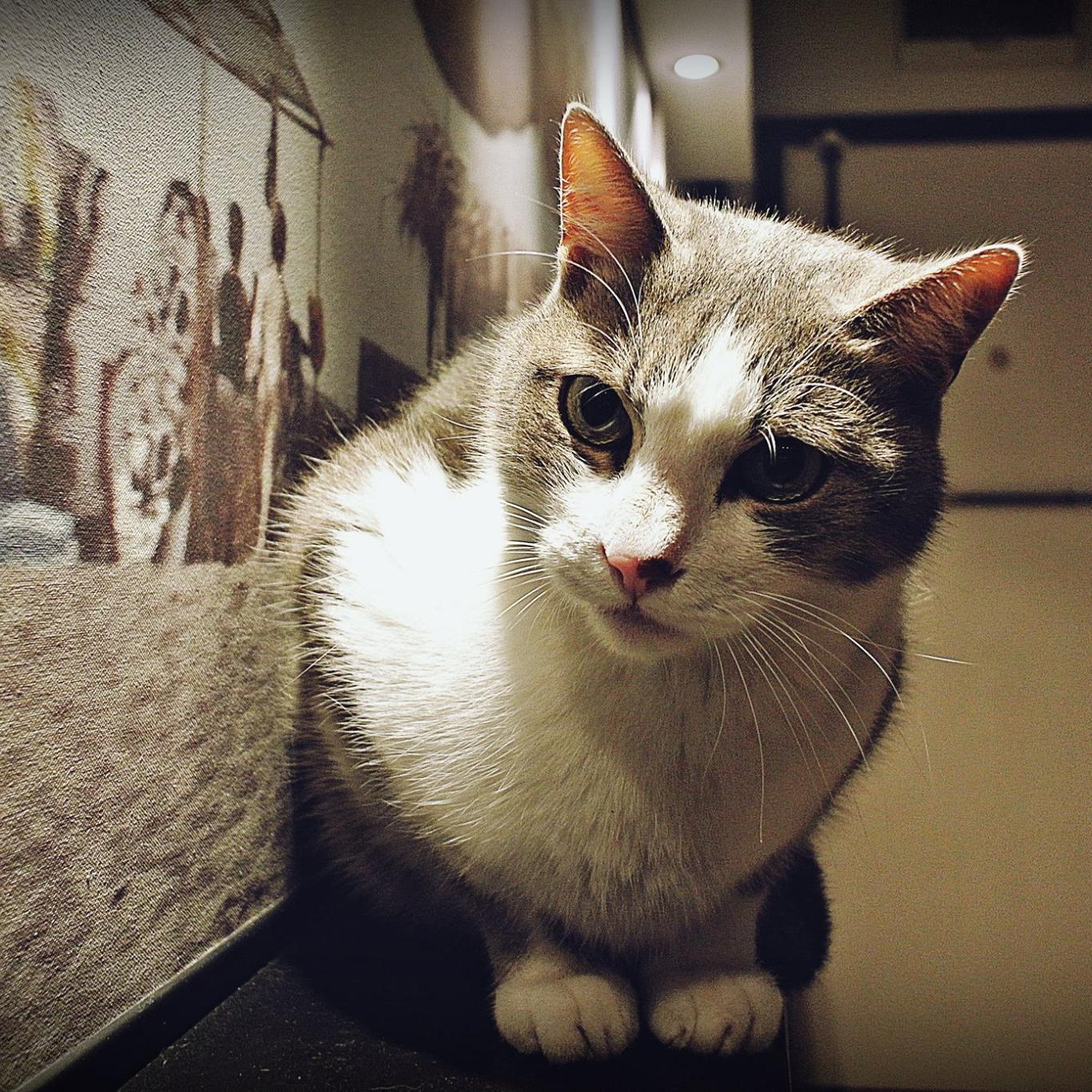 MateMatija's profile picture. Man behaving badly.