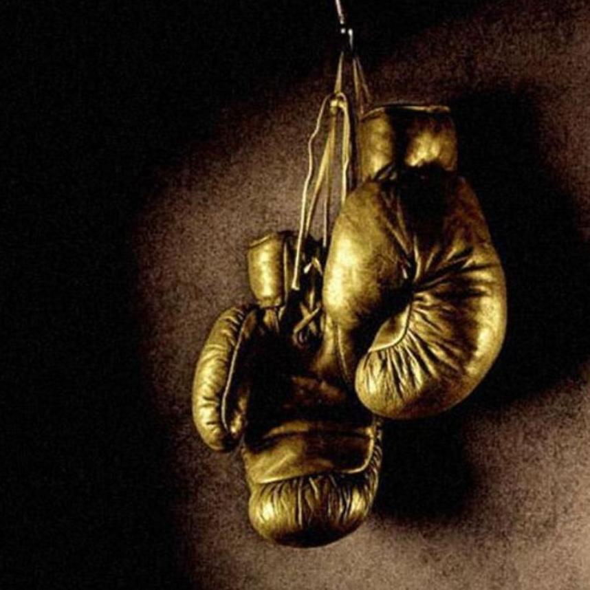 Sponsorship Account Manager @Havas_SE and #UFC #Muaythai addict ; #sportbusiness #marketing #entertainment #music