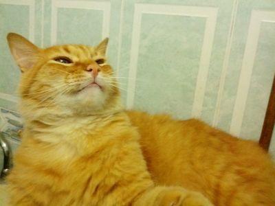 TotalMetalProCo's profile picture. 